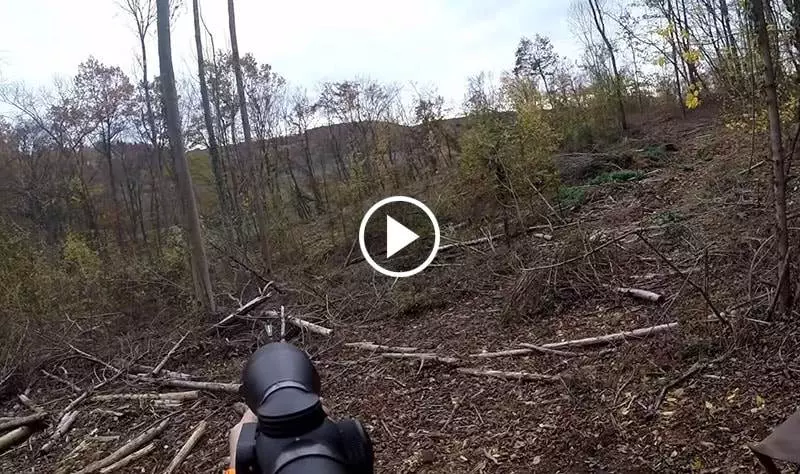 Doubl De Sangliers Chasse En Battue En Moselle Blog De Chasseur