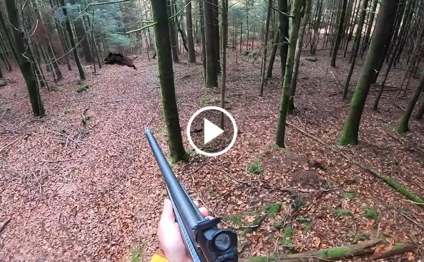 Compilation De Tirs En Battues 40 TIRS EN 6 MINUTES Blog De Chasseur